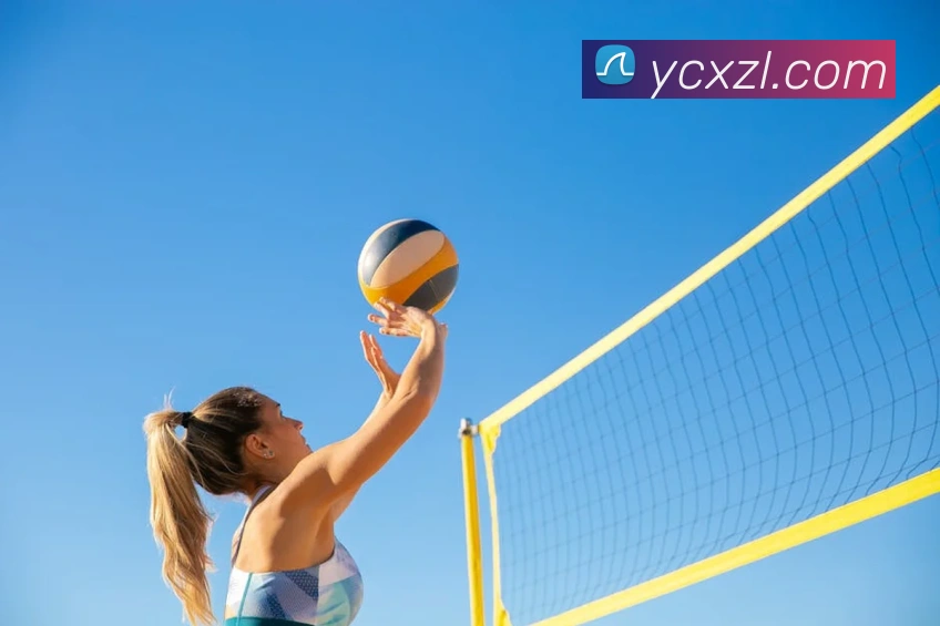 尊龙凯时APP 封面图